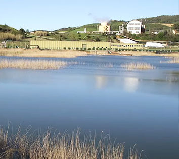 Cheap Car Rental Monterotondo